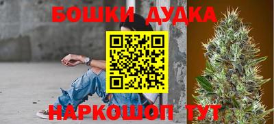 шишки Будённовск