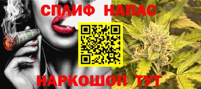 шишки Будённовск