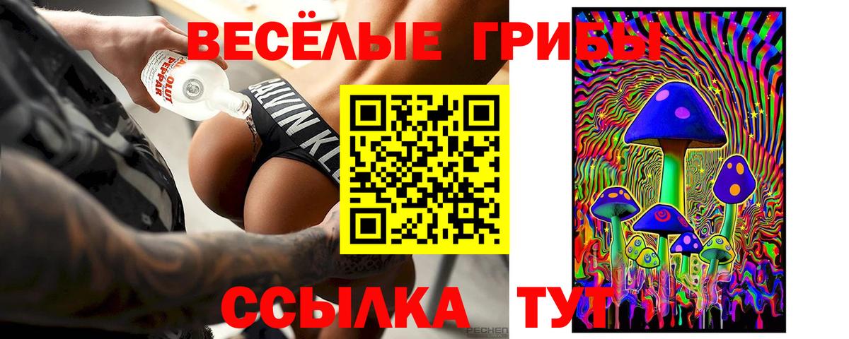 Ржев  Псилоцибиновые грибы Cubensis  Вход с VPN 