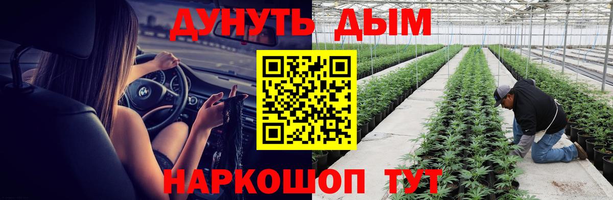 Каннабис гибрид Ржев